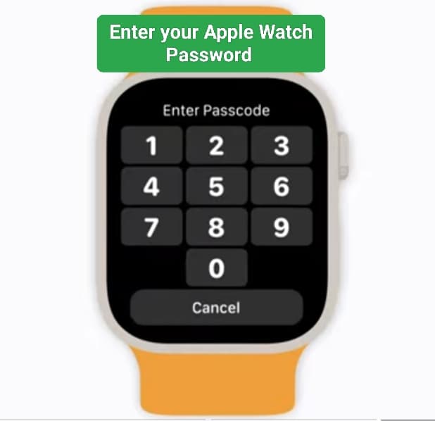 Enter your password for Reset apple watch 