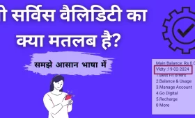 नो सर्विस वैलिडिटी का क्या मतलब है? समझें आसान भाषा में