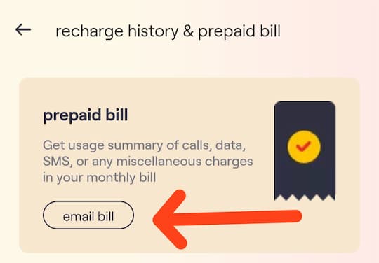 vi call details email bill