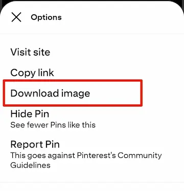 Pinterest GIF को गैलरी में कैसे सेव करें? जानें आसान तरीका 5 Pinterest GIF download option