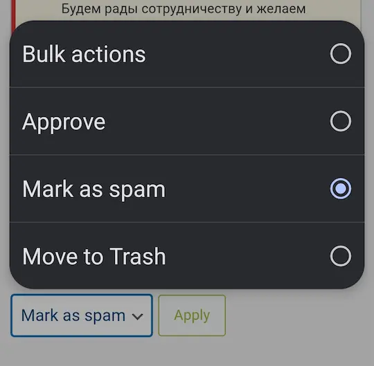Spam Comments Kya Hote Hain? | कैसे पहचाने और डिलीट करें (बिना plugin) 6 Sabhi comments ko mark as Spam Comments ke roop mein select karna