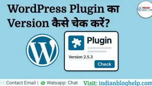 How to check WordPress Plugin Version