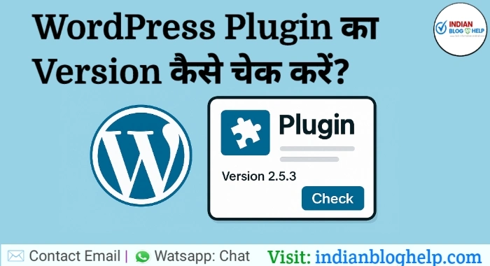 How to check WordPress Plugin Version