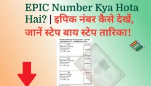 EPIC Number Kya Hota Hai? | इपिक नंबर कैसे देखें, जानें स्टेप बाय स्टेप तारिका