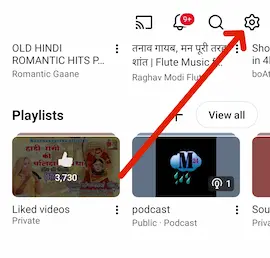 YouTube app setting option