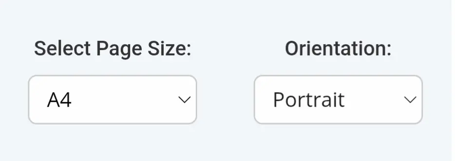 PDF page size or orientation button explain