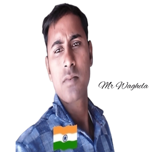 Mr waghela profile photo
